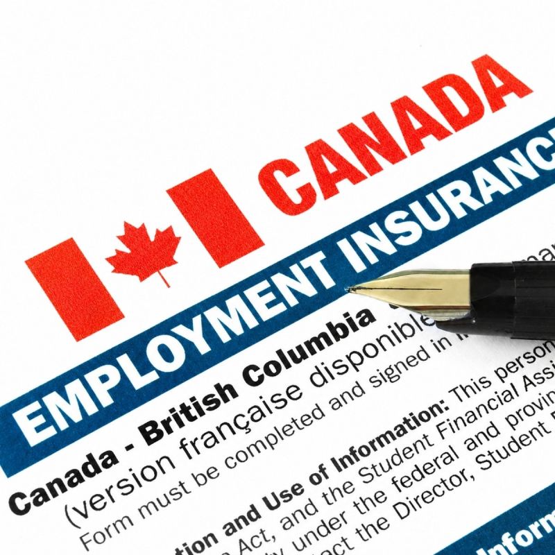 Employment Insurance in 2026: Key Changes Employees Need to Know ...